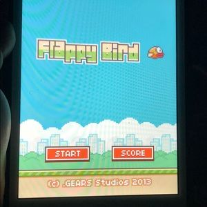 iPad mini with ORIGINAL flappy bird installed.